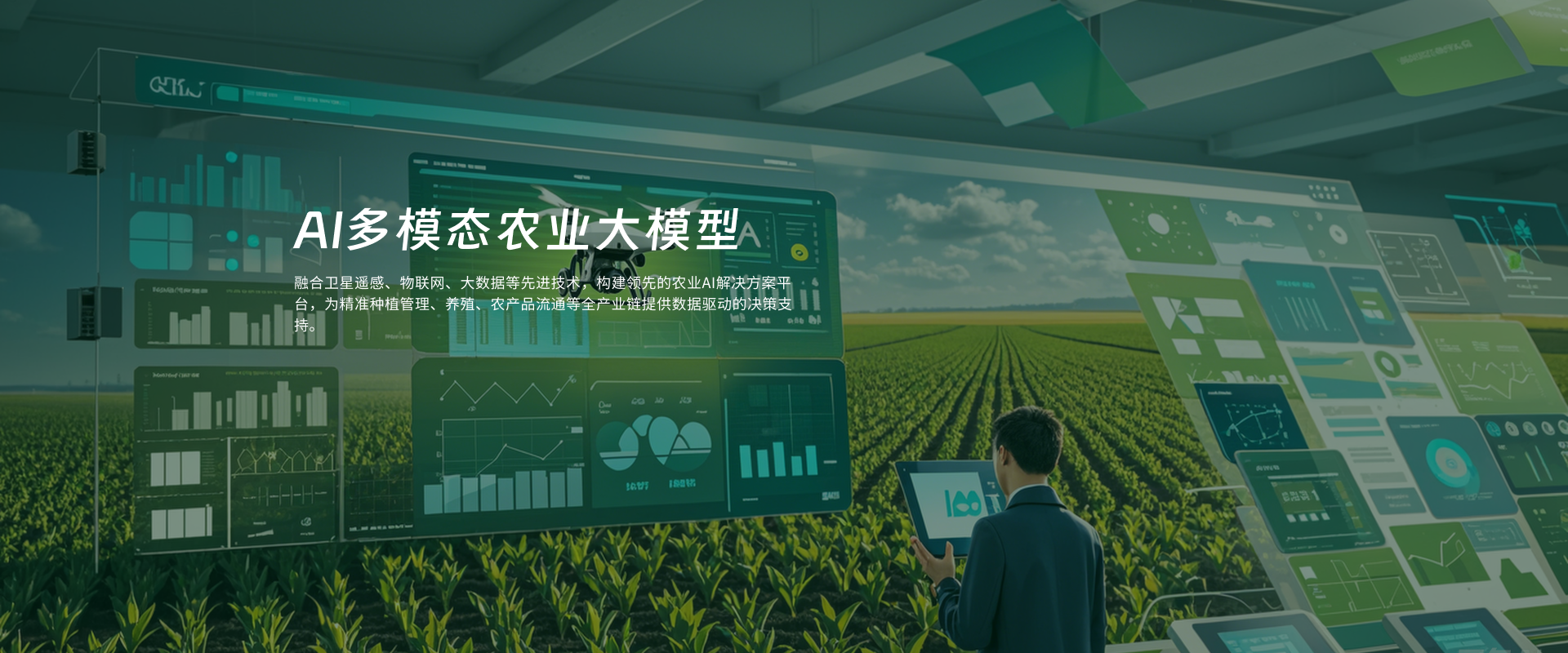 农业大数据监管服务